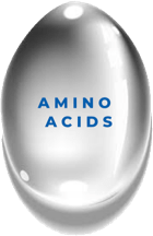 Amino-Acids