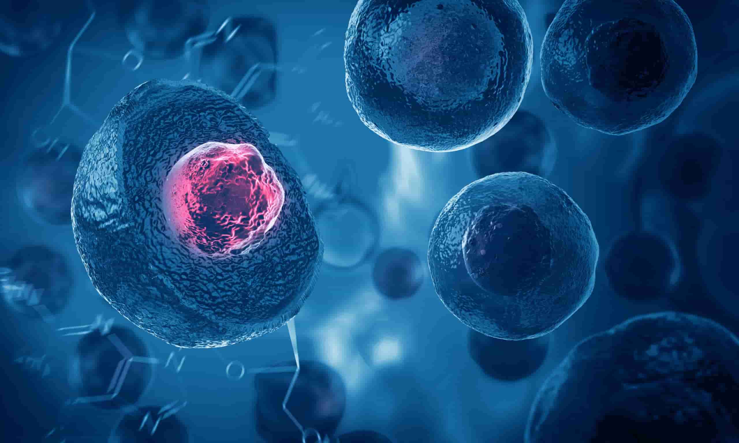 But What Exactly Is Stem Cell Therapy?